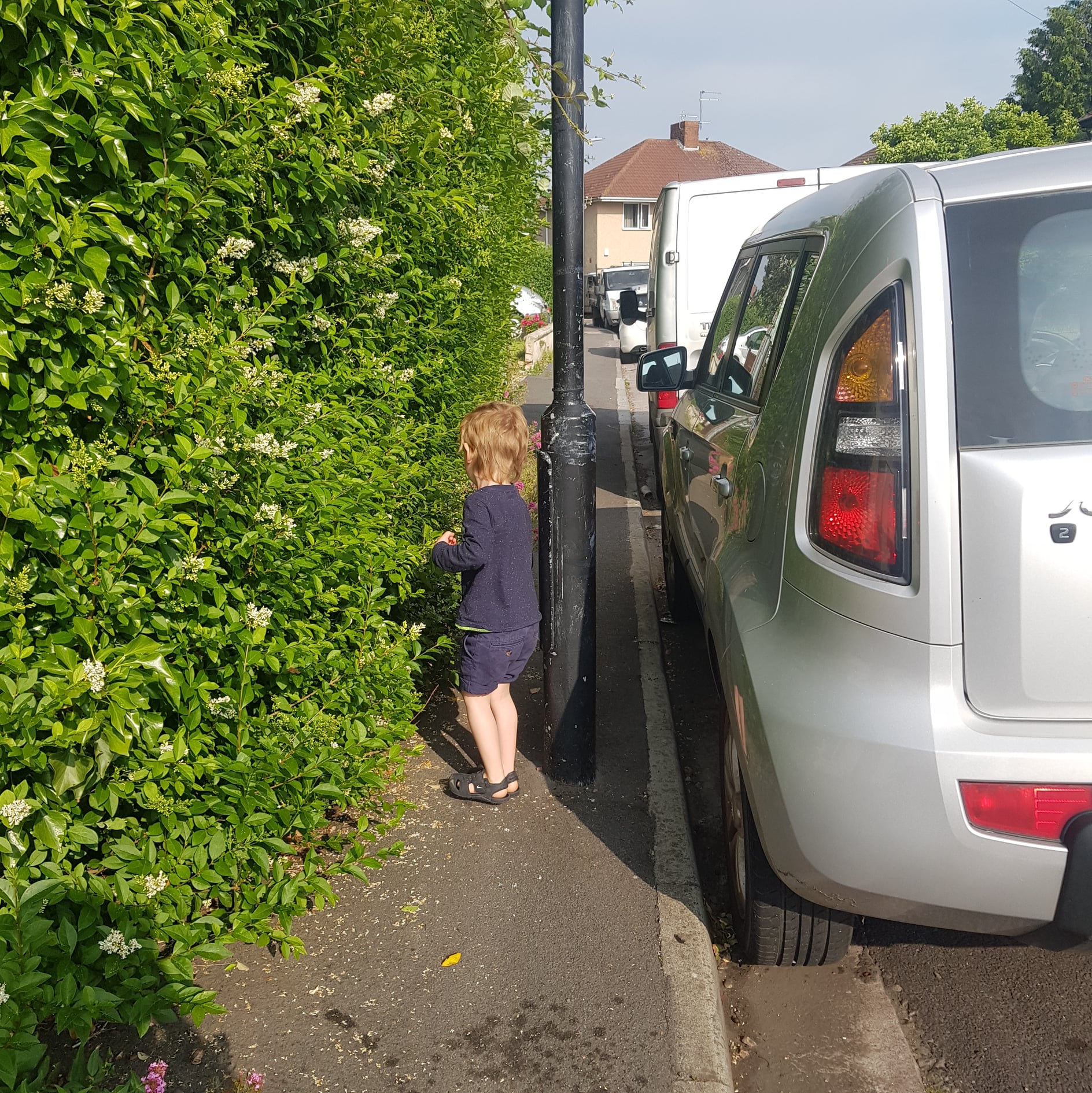 A child trying to get past an overgrown tree and lamp post