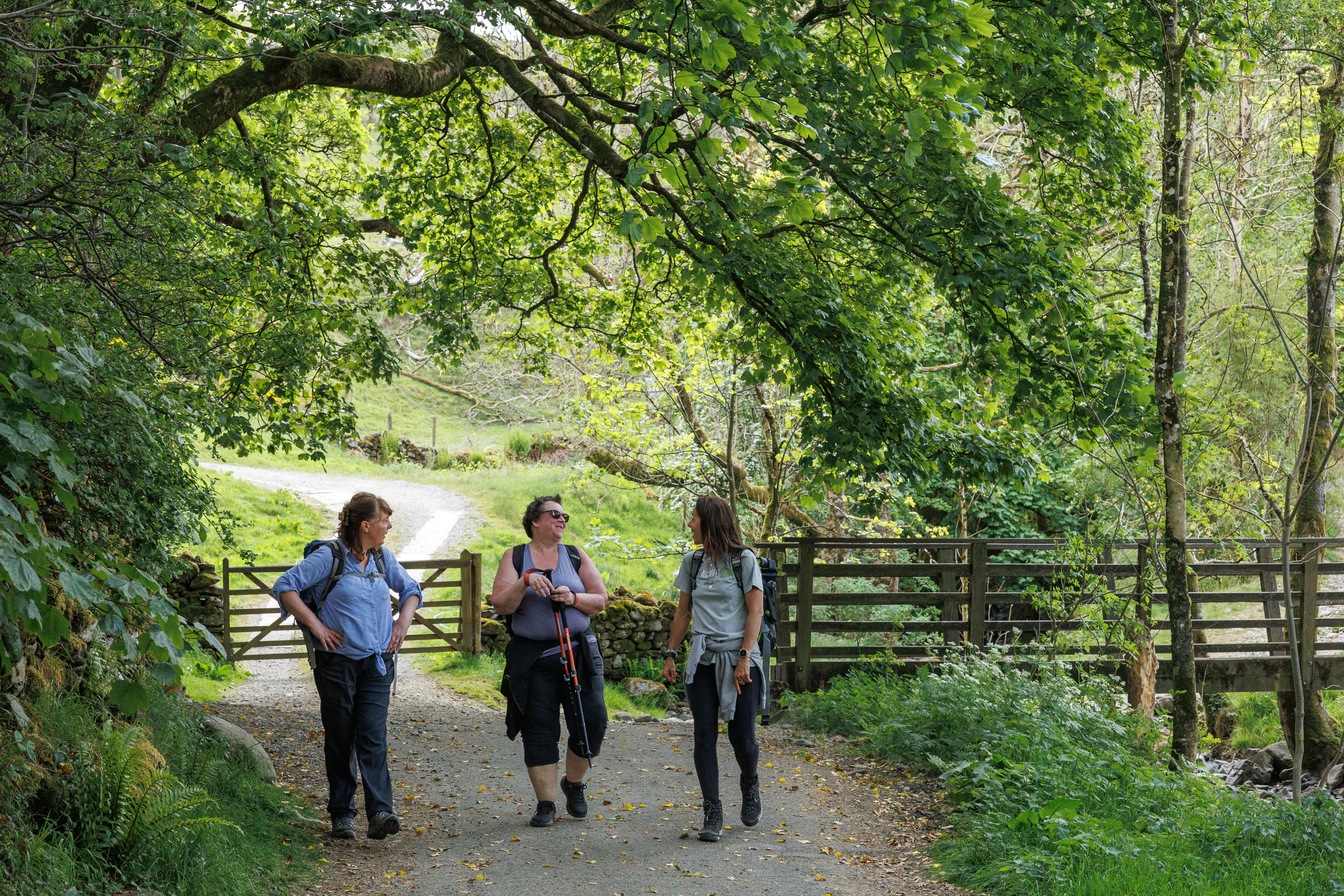 an image of three people walking in a wooded area
