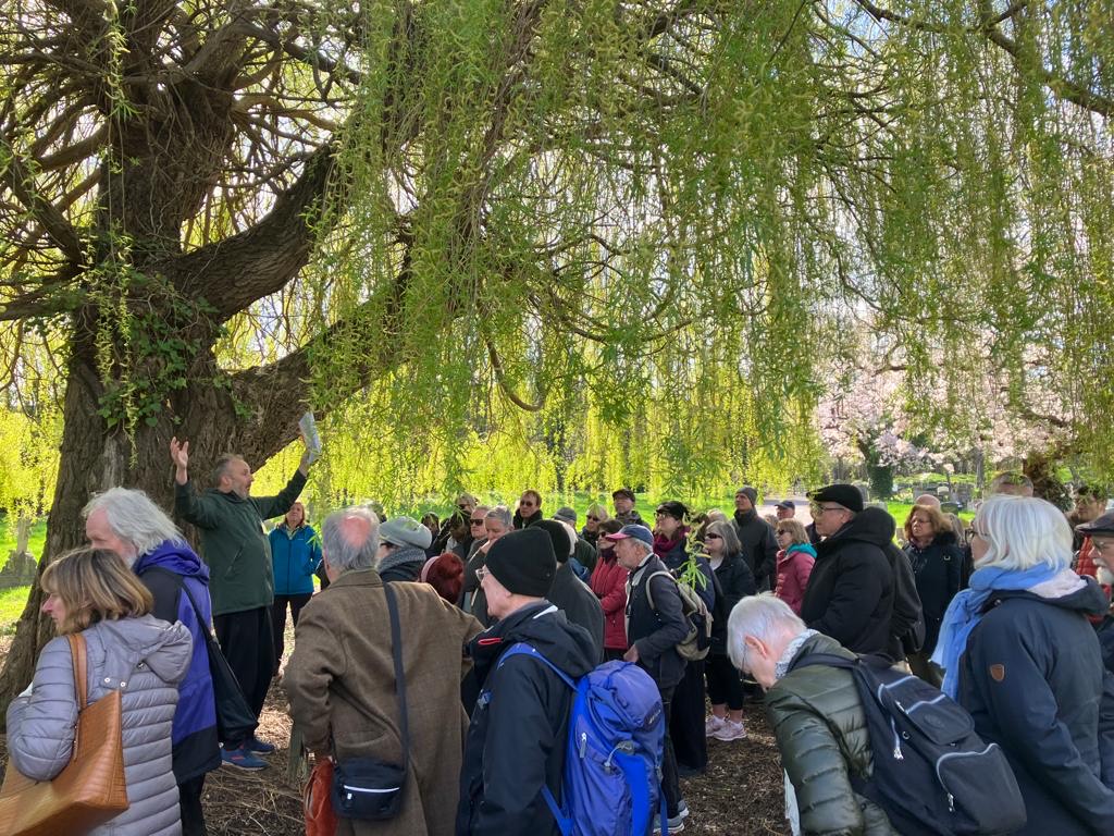 group of people standing under a willow tree in a park