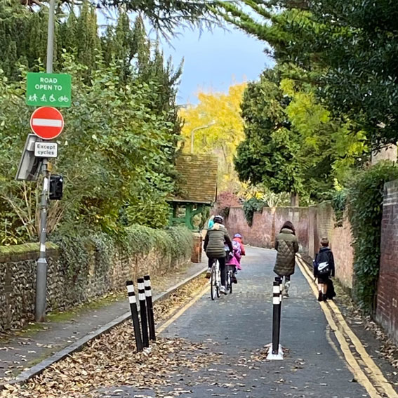 Children and adults cycling on a road