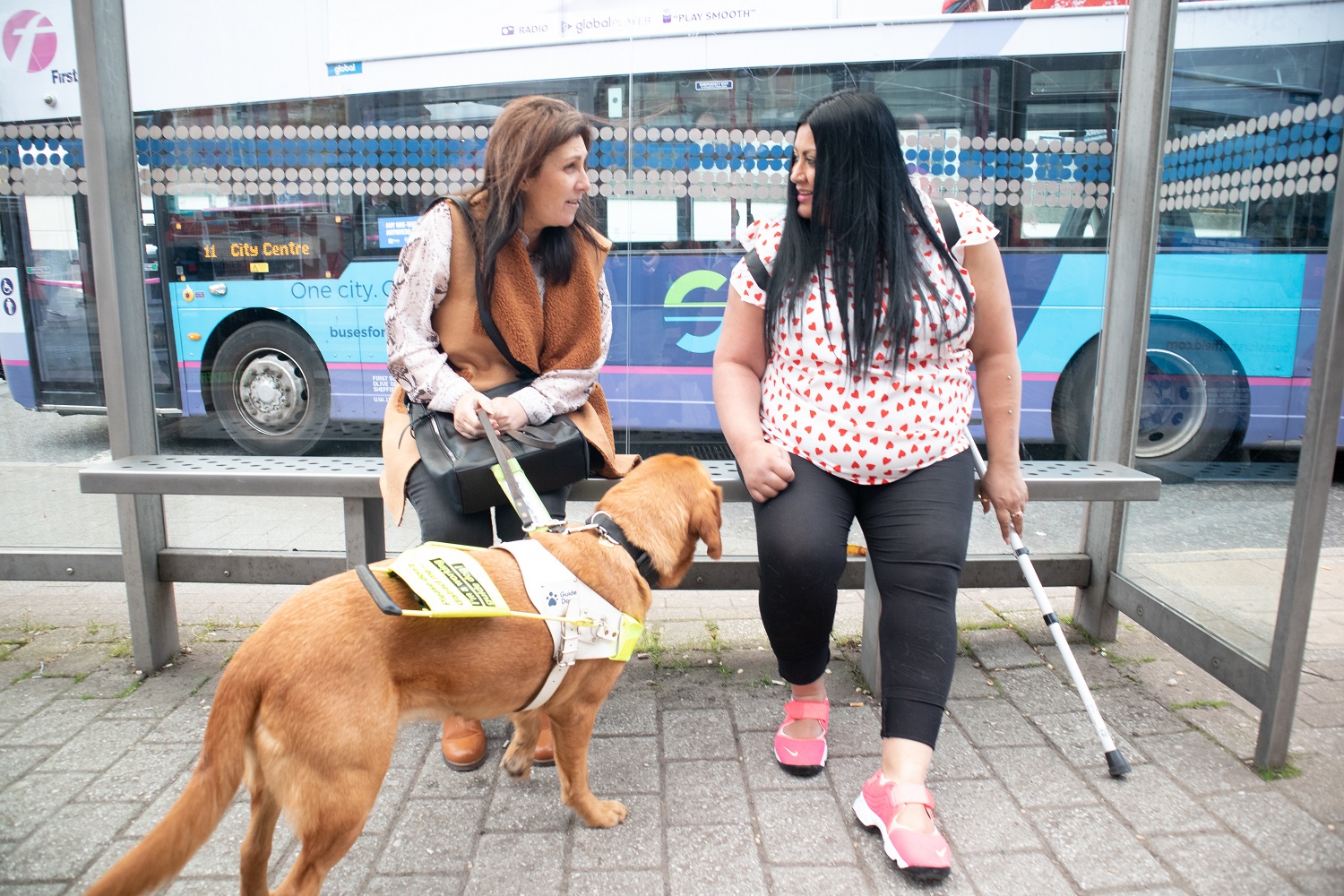 An image of two people sat at a bus stop. There is a bus behind the stand. One of the people has a guide dog with them.