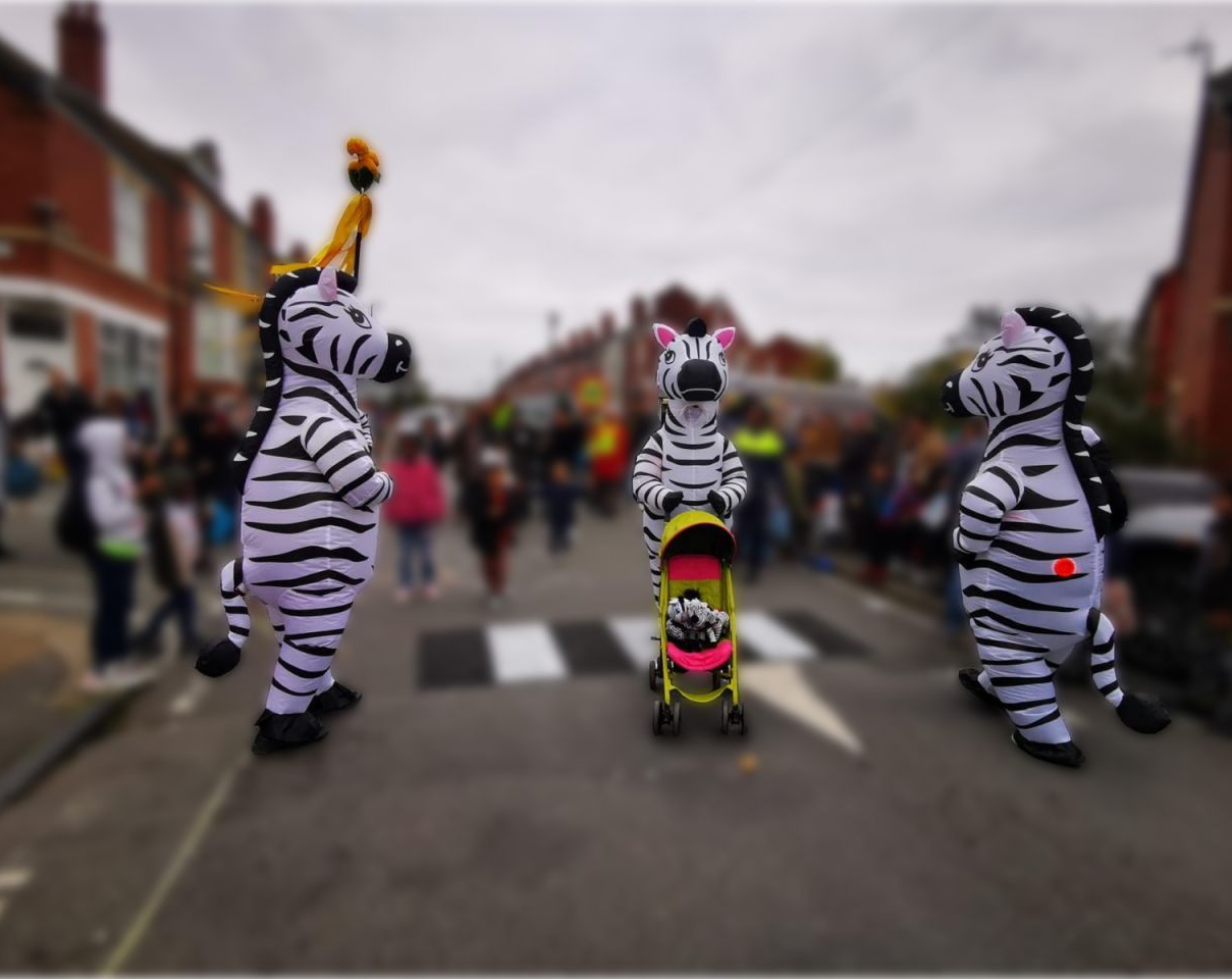 Living Streets campaigners dressed as zebras campaign for safer crossings in Sheffield
