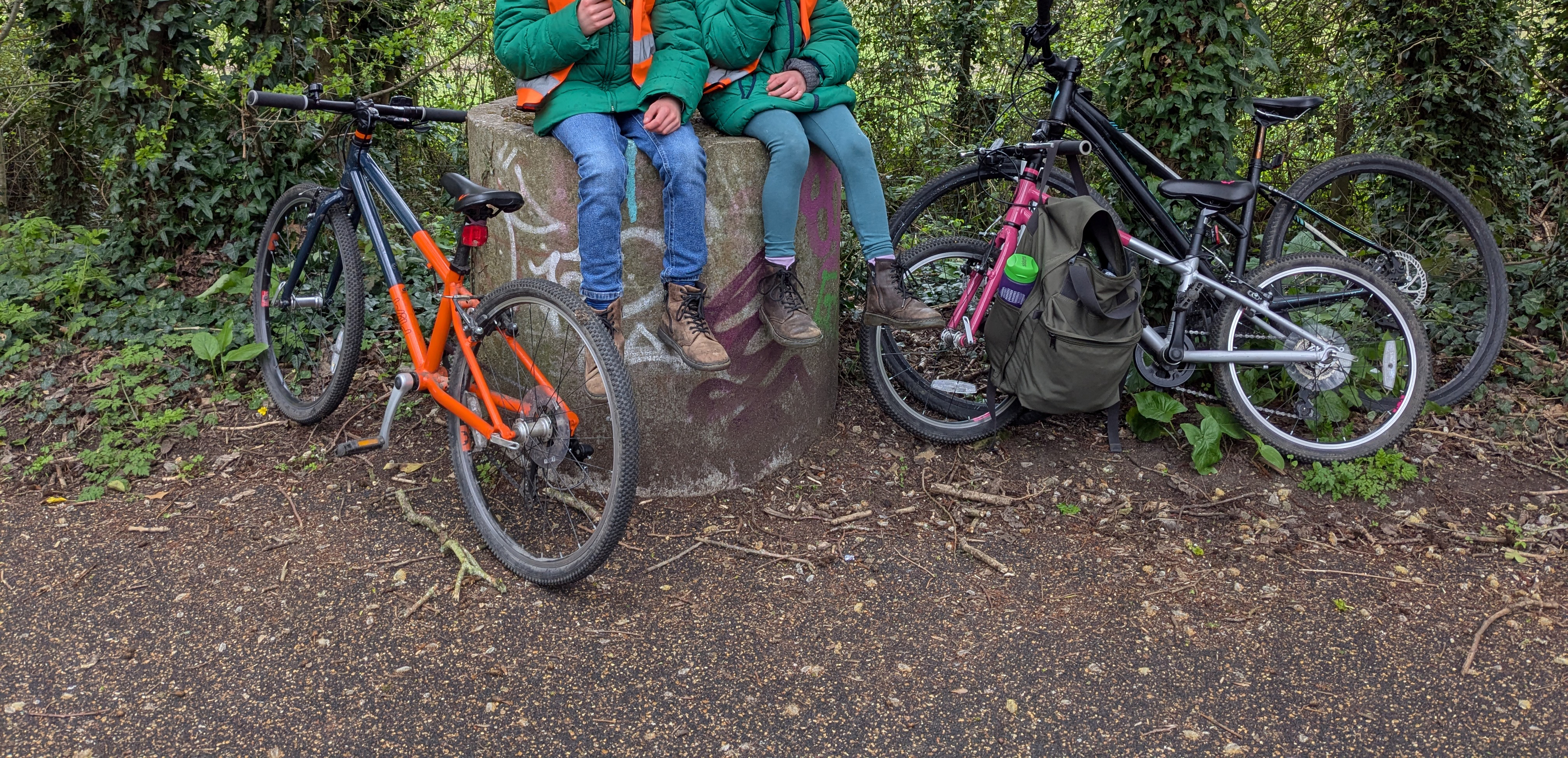 an image of two children sitting on a tree stump in a woodland area, three bicycles are parked besides them