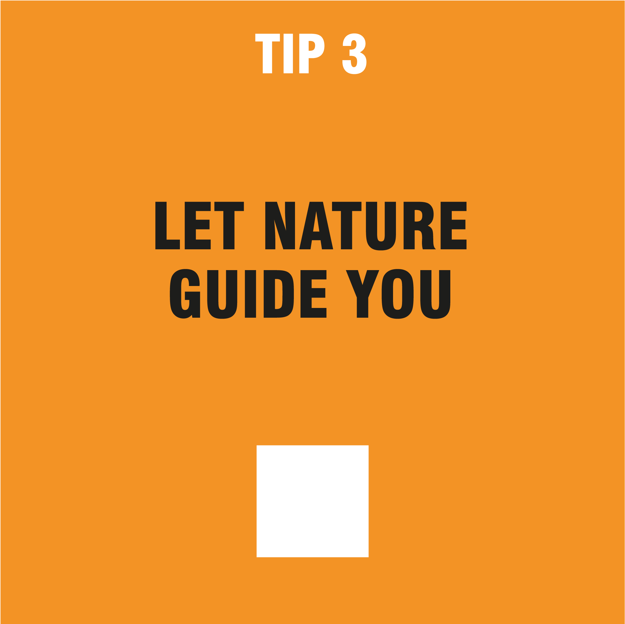 Tip 3 let nature guide you
