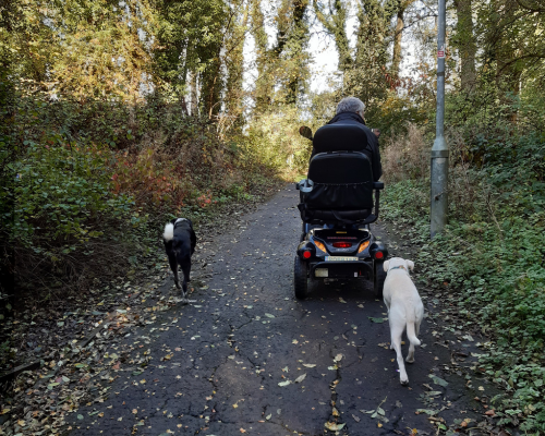 Robert in his mobility scooter, walking his dogs