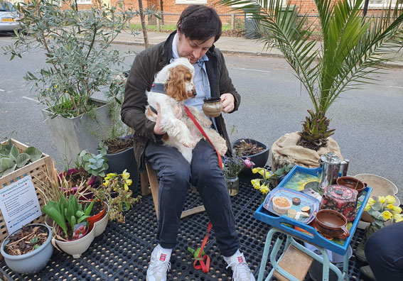 a man sits in a parklet with his dog