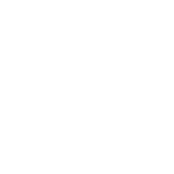 a graphic icon featuring a megaphone