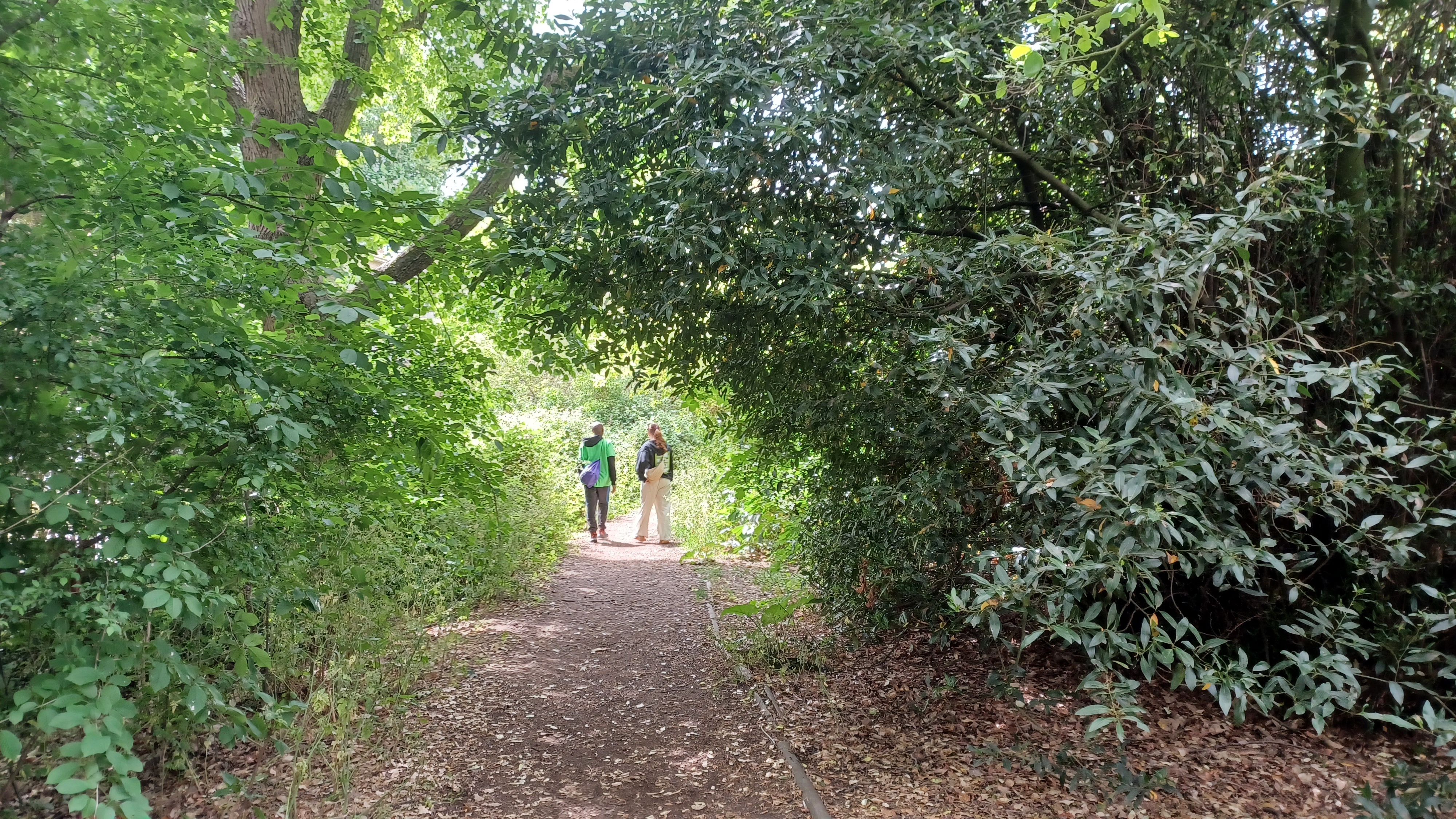 A shady path is encircled by bushes. At the end of the path, in the vanishing point, stand two people with their backs to the camera. They are stood in a beam of sunlight that has broken through the leaves.