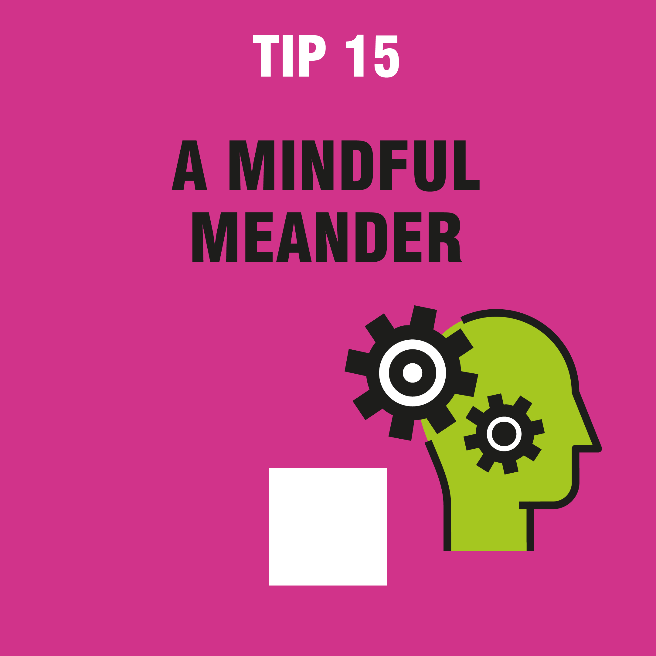 tip 15 mindful meander