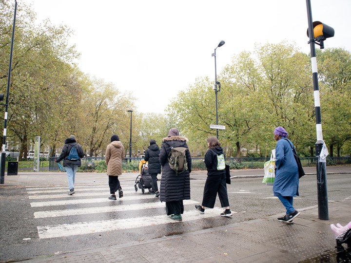 the local group crosses a zebra crossing together