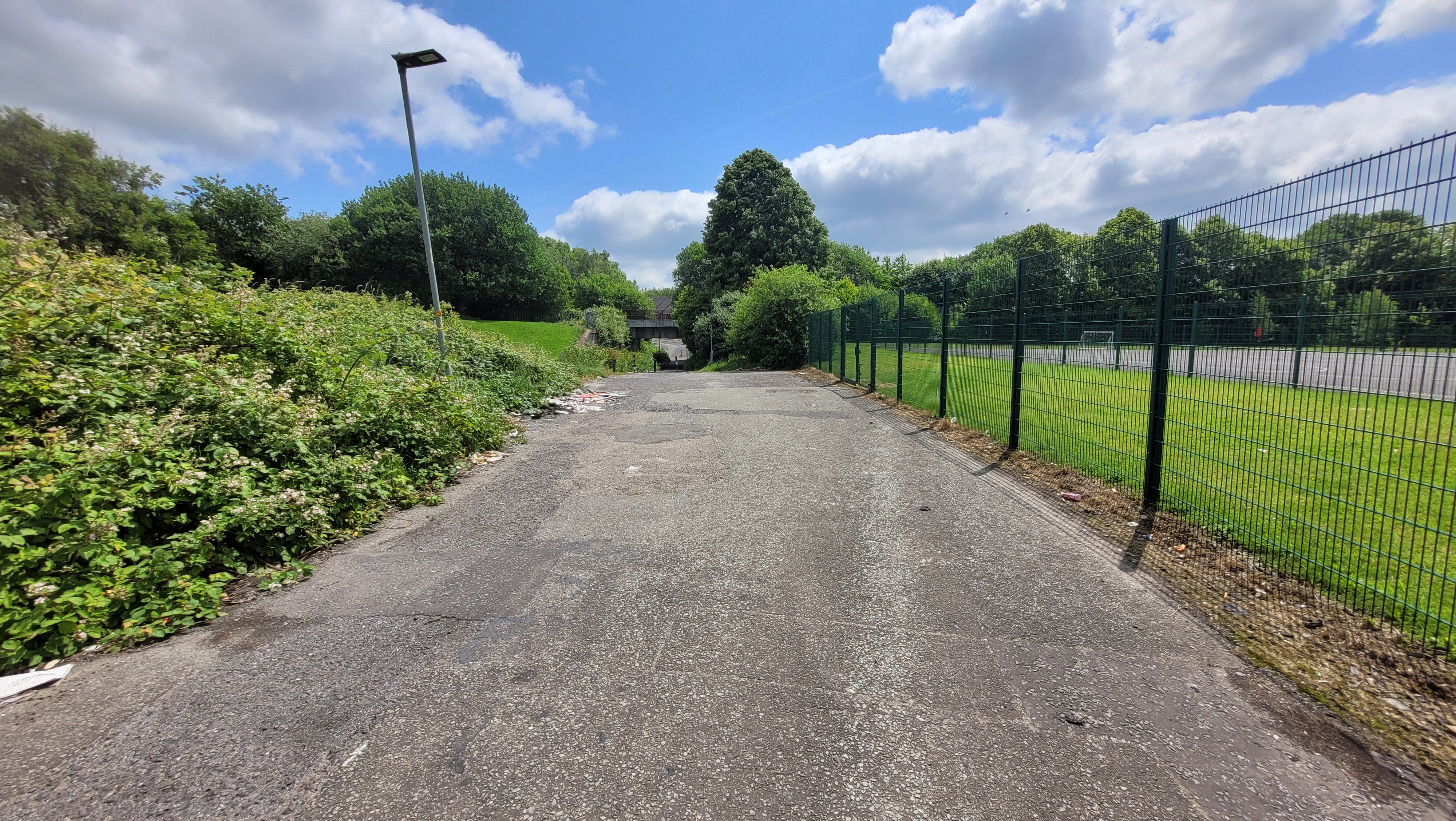 A road lined with greenery and a green fence